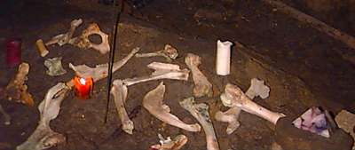bones.jpg (11107 bytes)