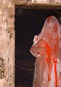 deadlydonna.jpg (13114 bytes)