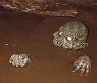 Mudman. This poor sucker was just looking though the House of Dummies when he got caught in the TRIP TO HELL!