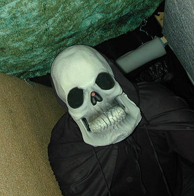 dummy7956
