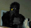 31oct2001_0121