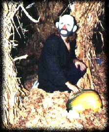 Clowning around