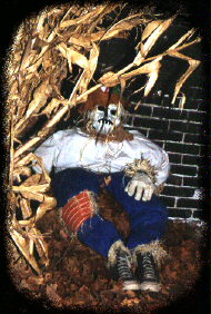 another graveyard groupie